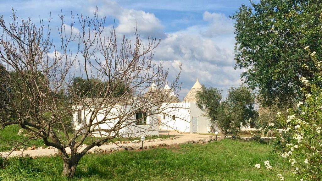 Trulli Masseria Donno Santo photo 2