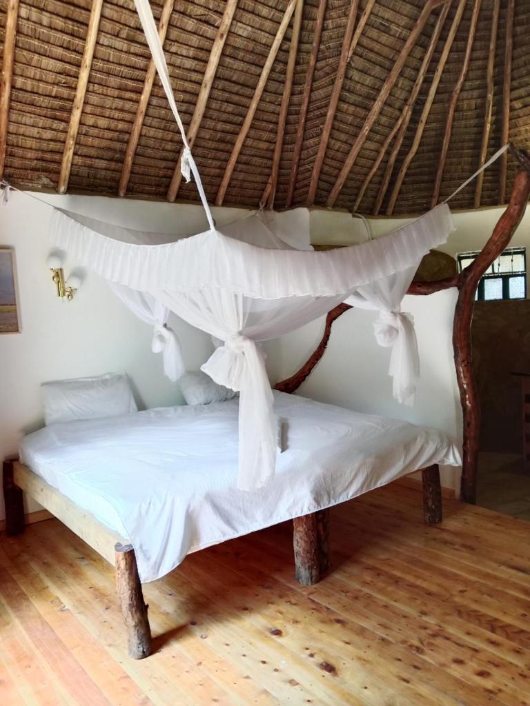 Hillstone Safari Lodge photo 1