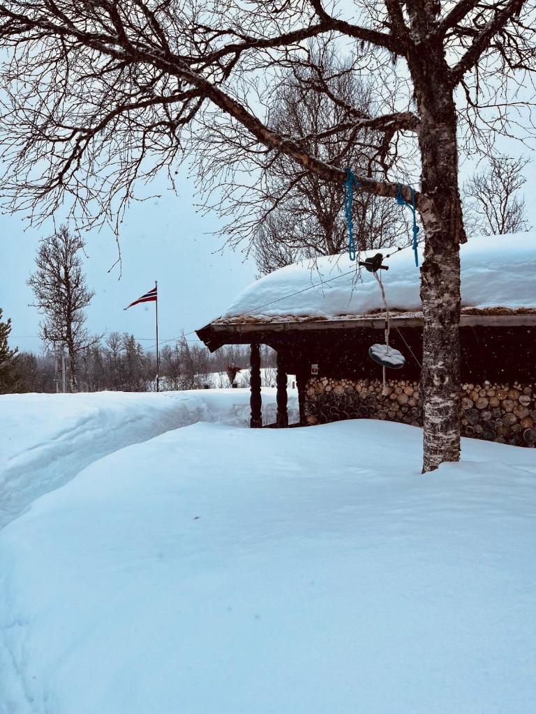 Cosy and Quiet Cabin with Sauna close to Hemsedal photo 3