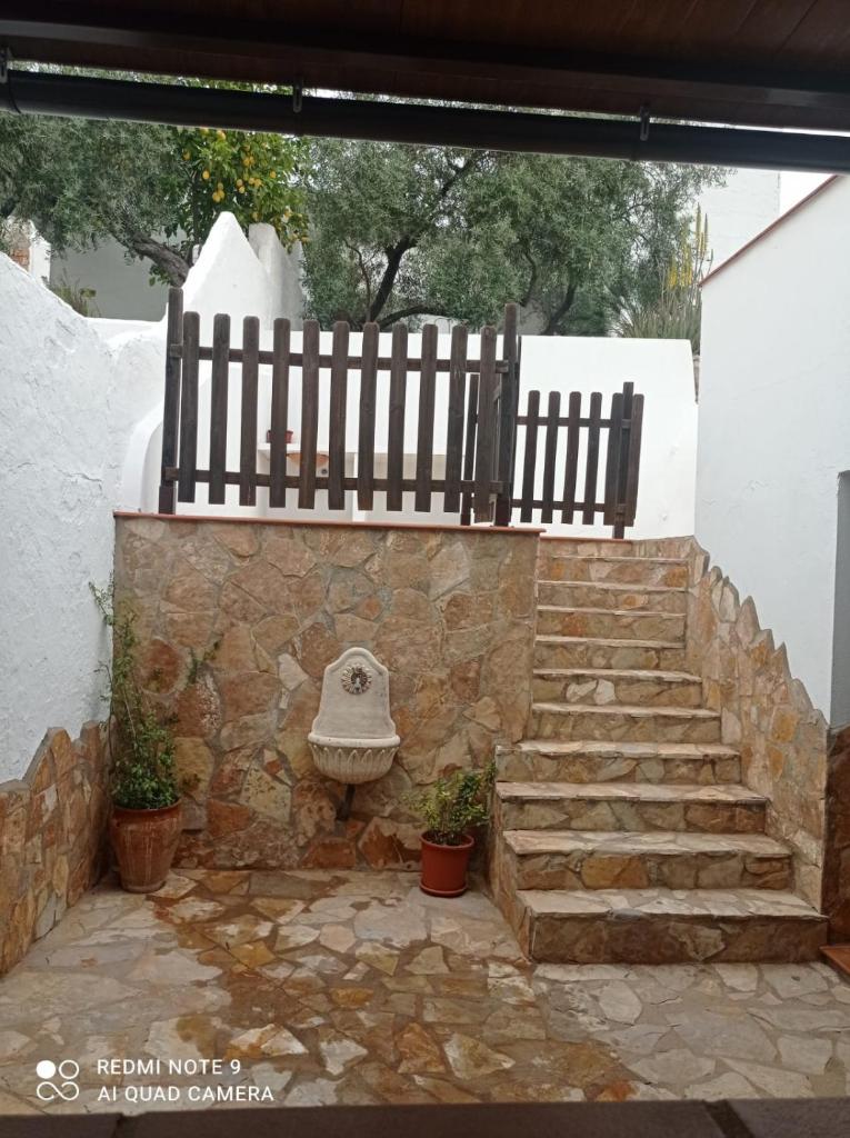 Casa Los Pinceles photo 3