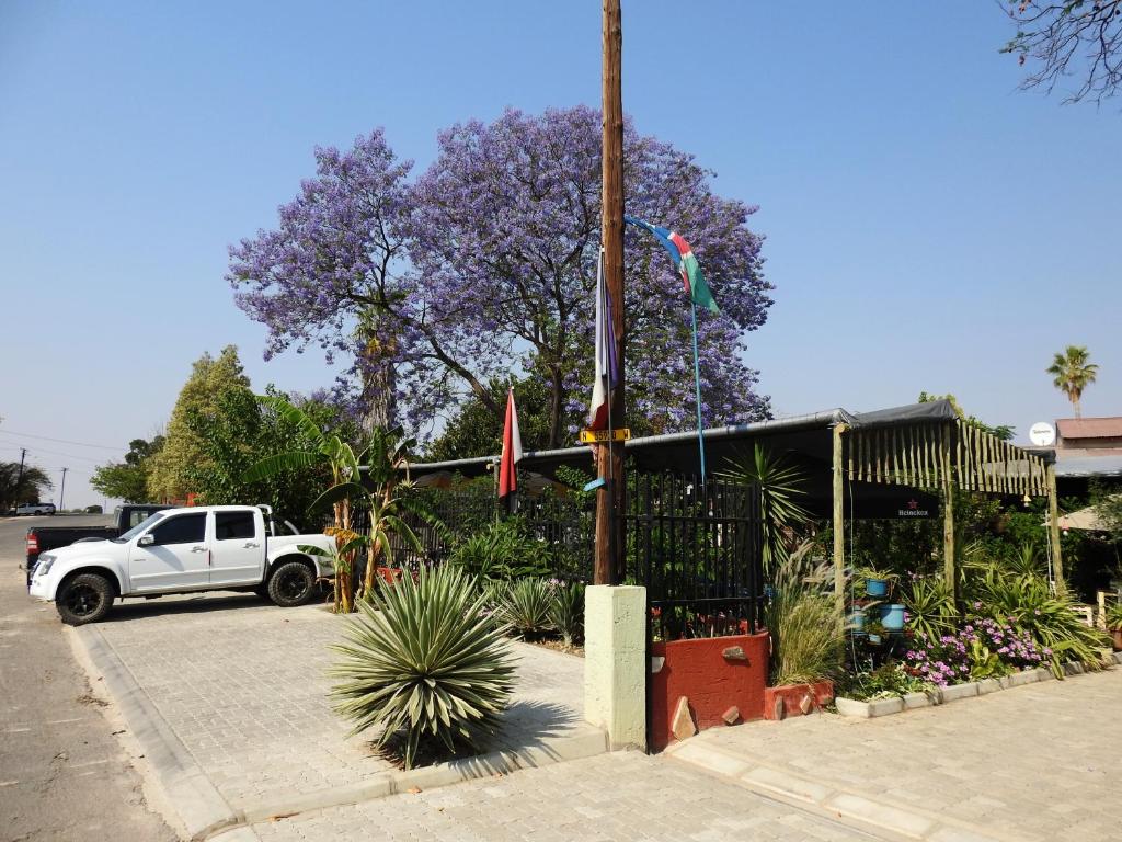 ANSTA SELF CATERING Home photo 2