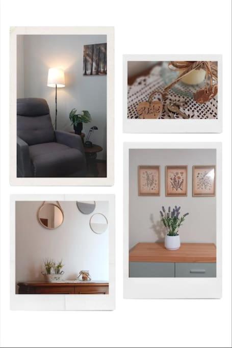 Dai Biancot, Appartamento Ruche' photo 3