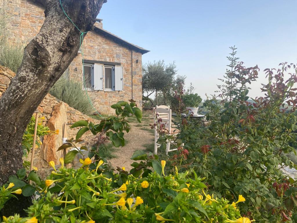 Laas Daskios, Stone Country House, Skopelos Anania photo 4