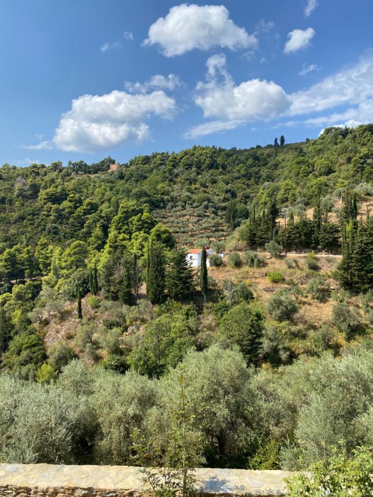Laas Daskios, Stone Country House, Skopelos Anania photo 3