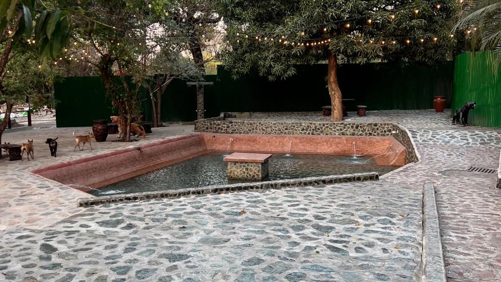 Aire de Montaña 2 - Hot Springs photo 3