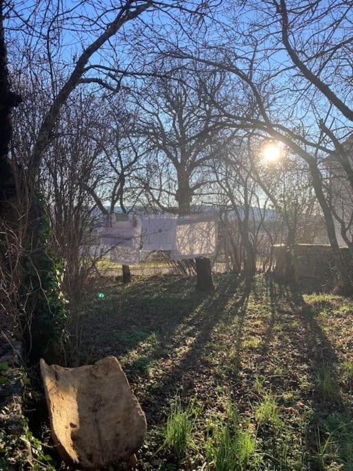 L'Amelié, maison avec jardin en Provence photo 1