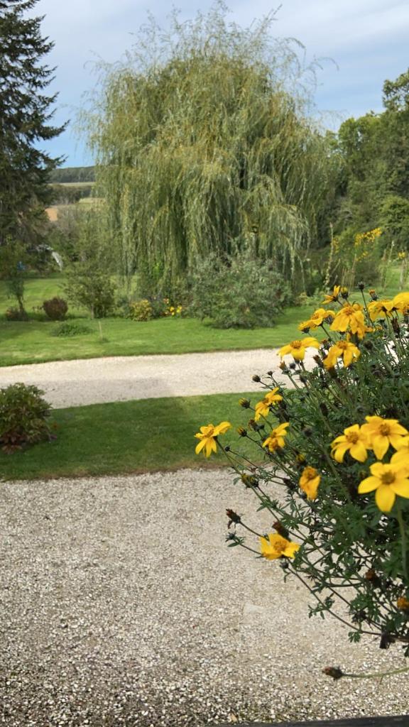 PIVOINE Chambre d hotes photo 4