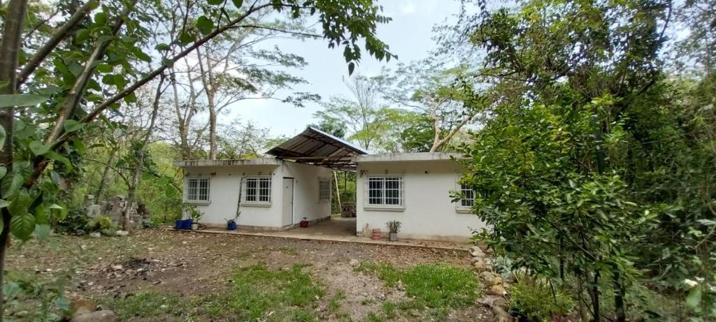 CASA RIO photo 3