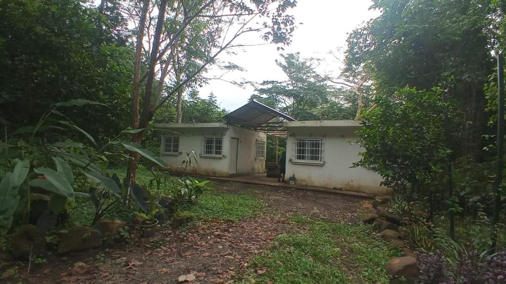 CASA RIO photo 4