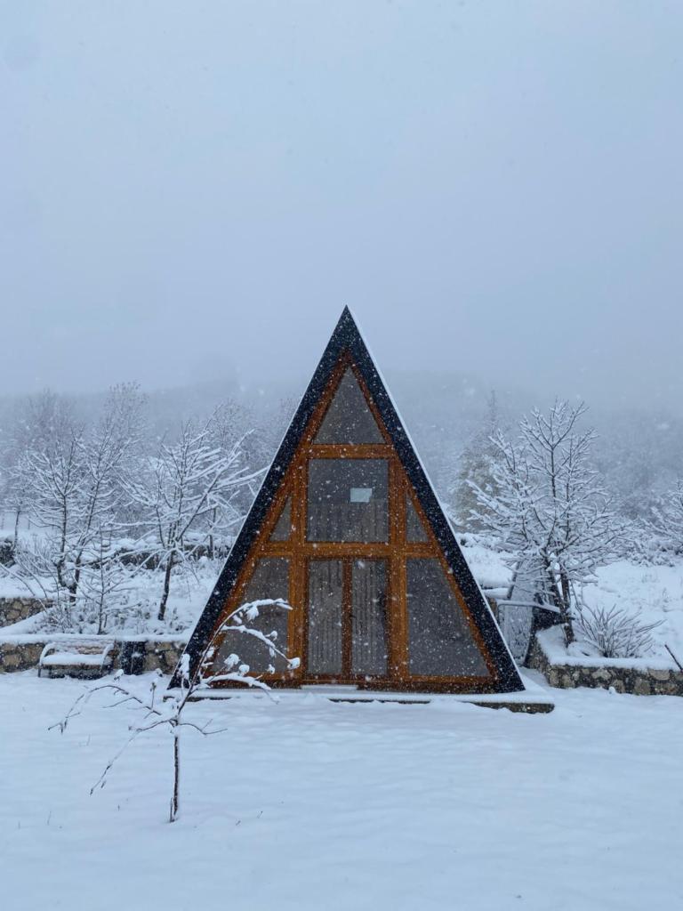 Albero Casa photo 2