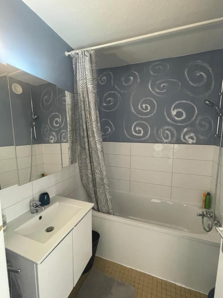 Bel Appartement near Bâle Mulhouse Airport photo 2