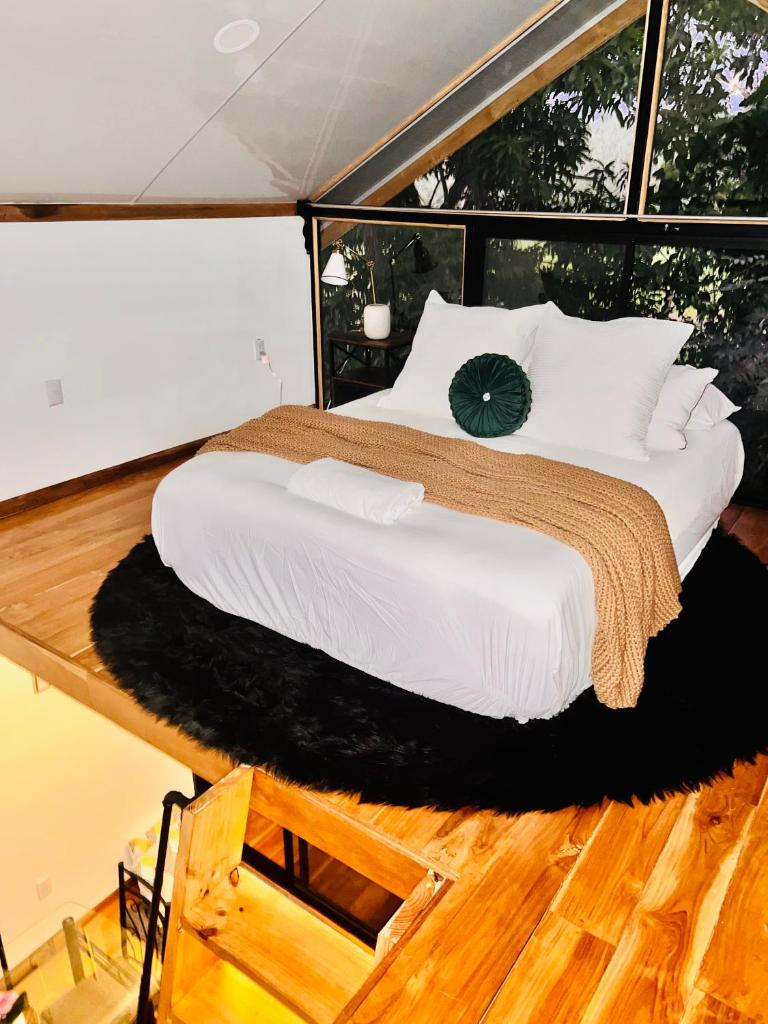 Guest House Pura Vida photo 1