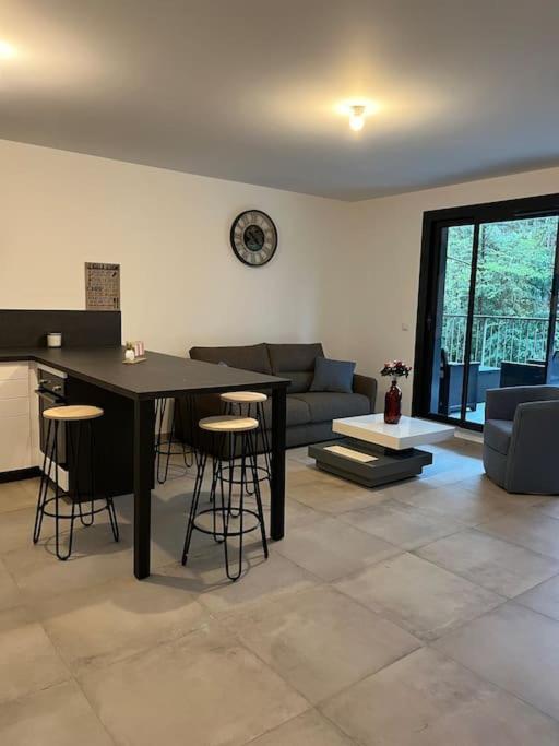 Appartement proche Genève 1