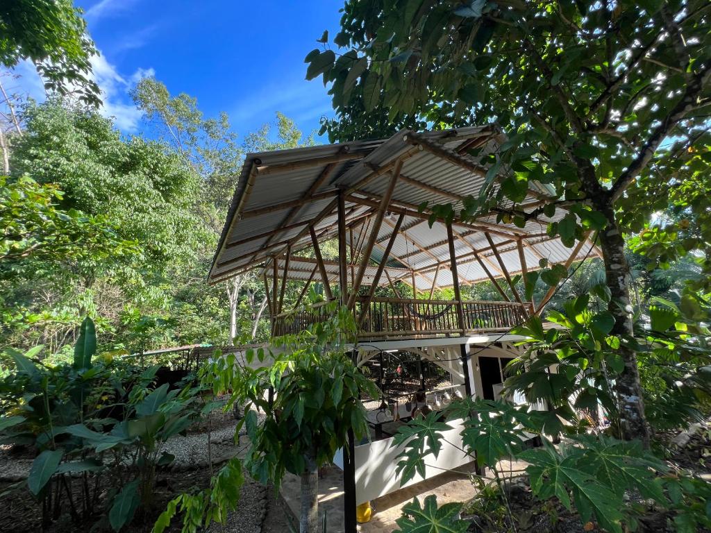 El Templo de los Guacamayos del Tigre photo 1