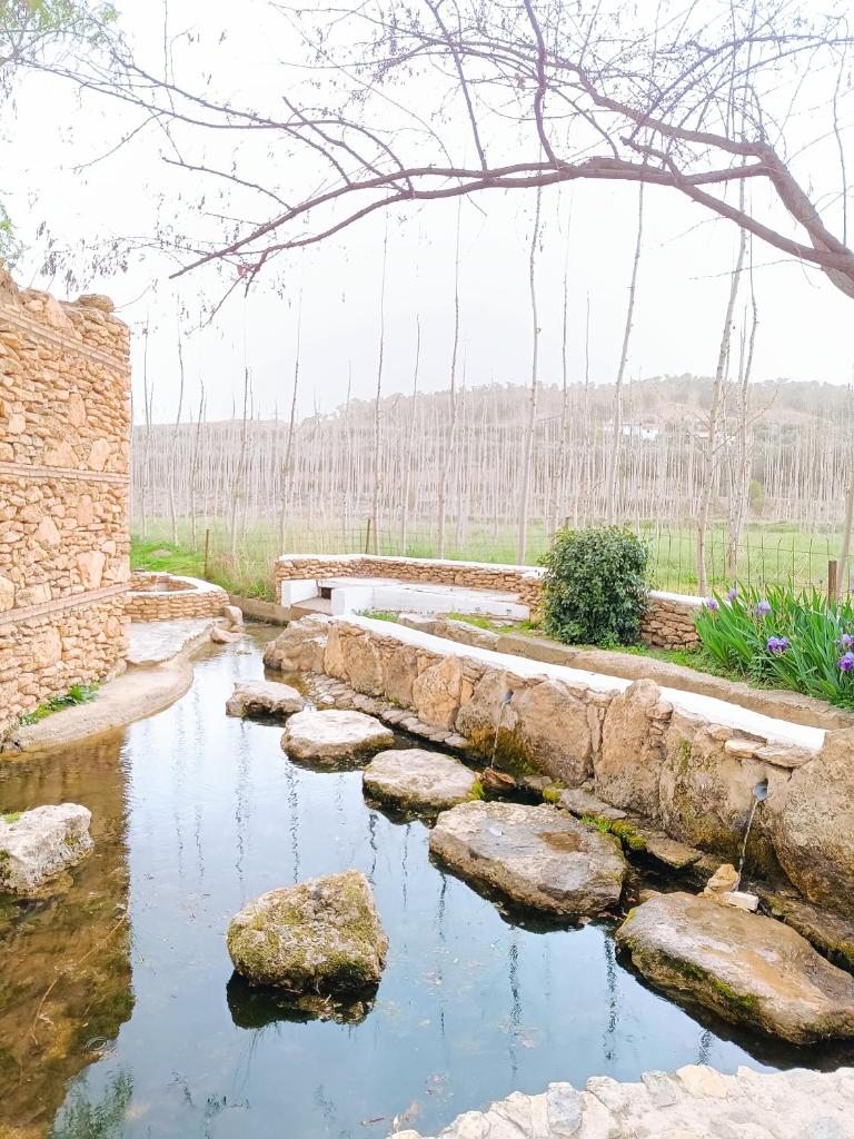 Casa Cueva The Exclusive Royal Andalusian Cave photo 2
