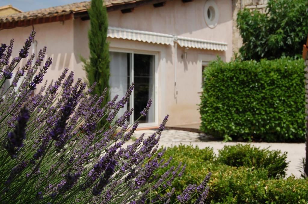 Maison d'hotes photo 1