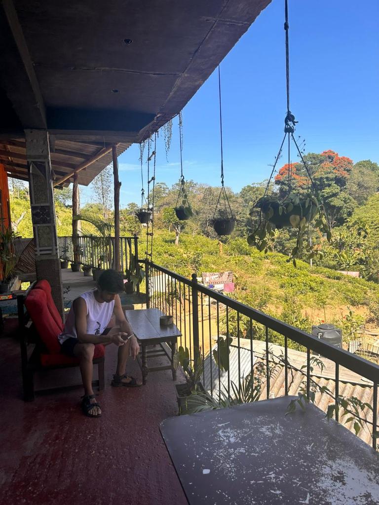 Hostal Tree House photo 4