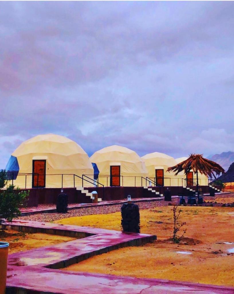 Khaled Rum Camp photo 3