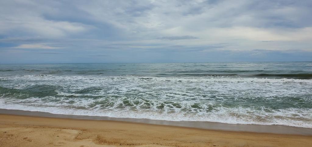 Surf And Stay Arugam Bay photo 1
