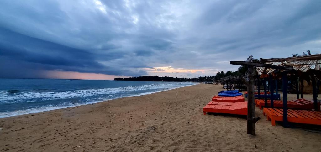 Surf And Stay Arugam Bay