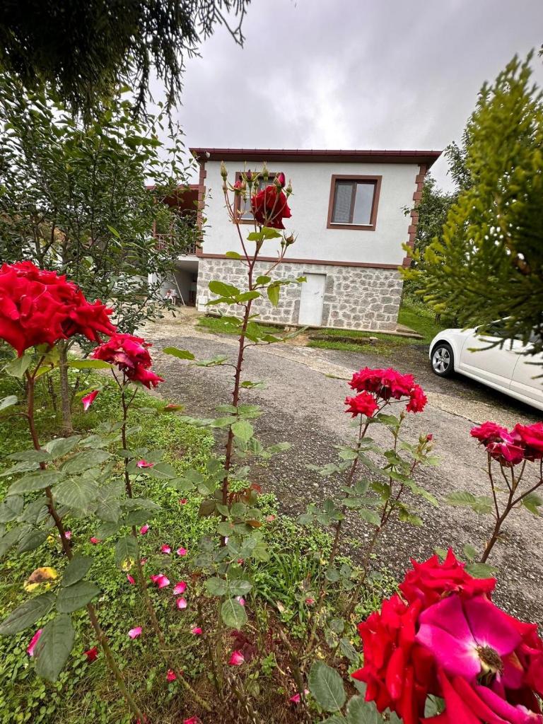 Atasoy Köy evi photo 2