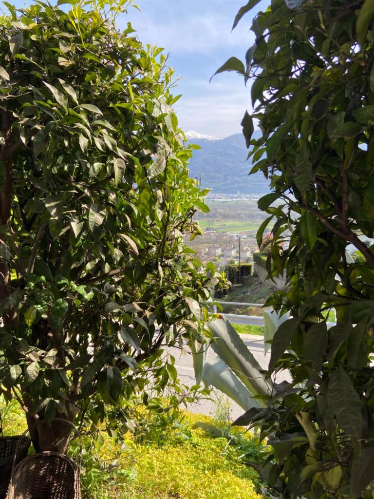 Sete Fontes - Agarone Holiday Nest photo 1
