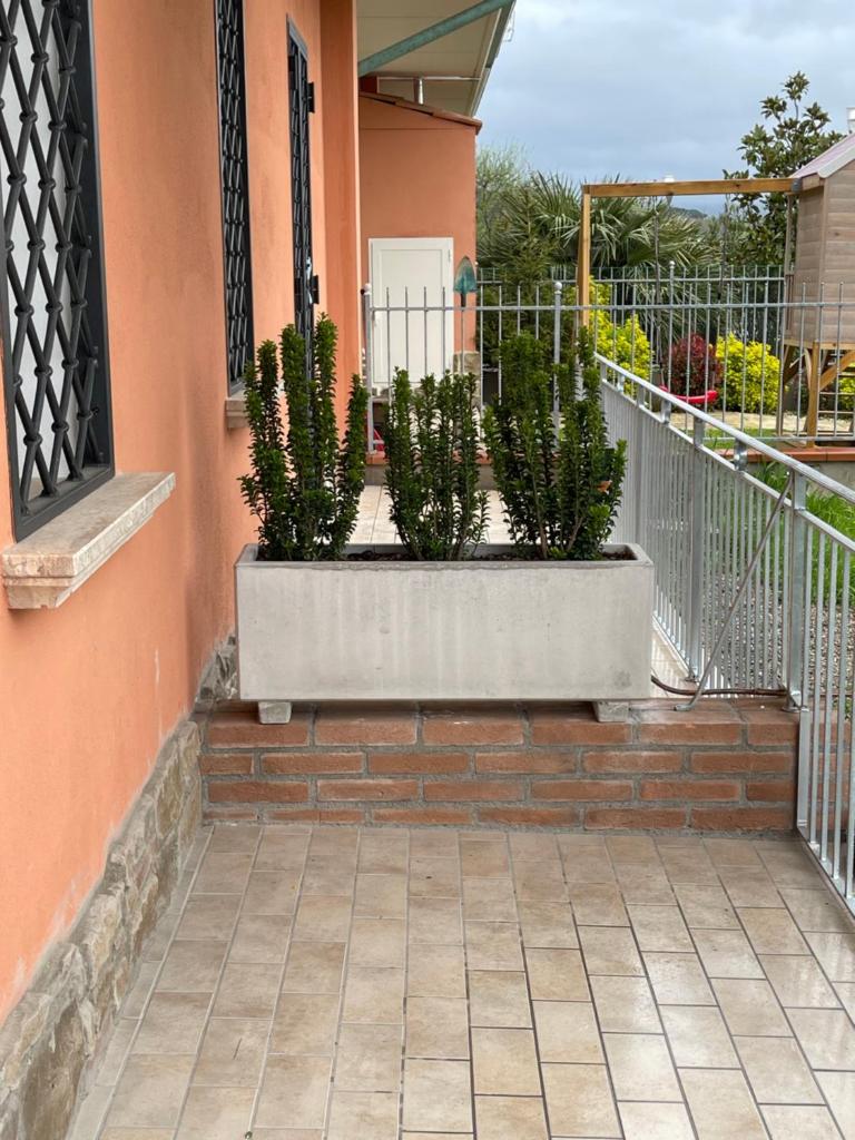 il Nido sul lago Trasimeno photo 1