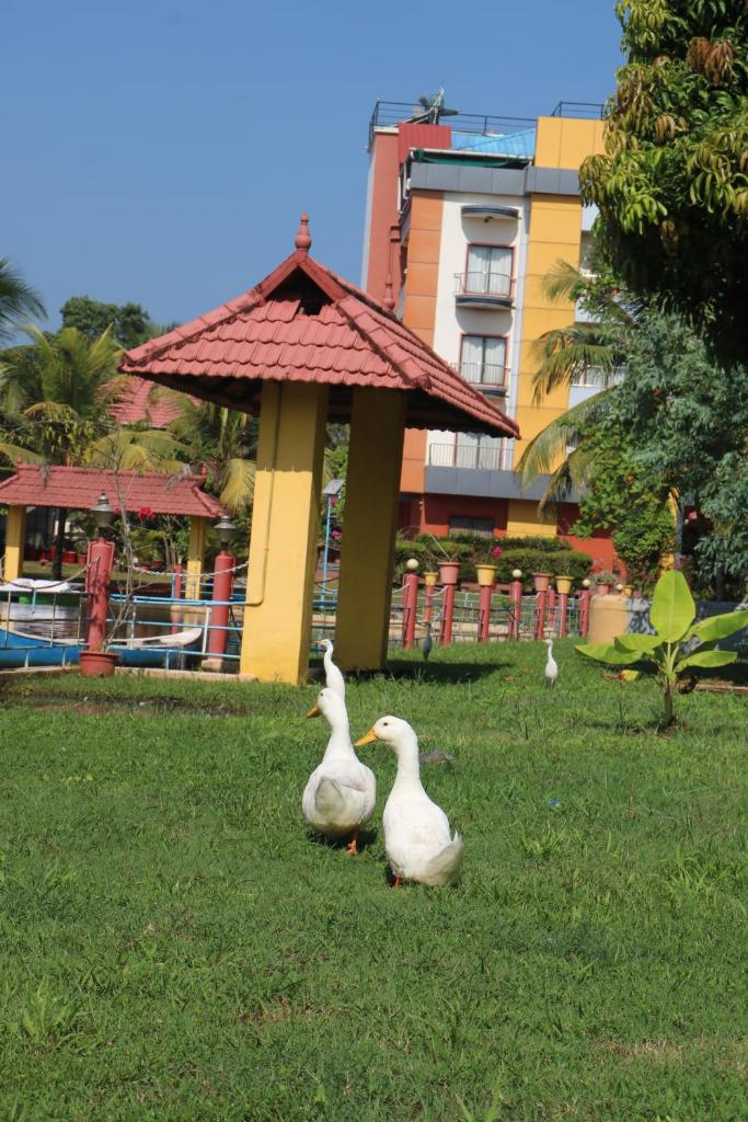 ROYAL RIVIERA HOTELS & RESORTS photo 4