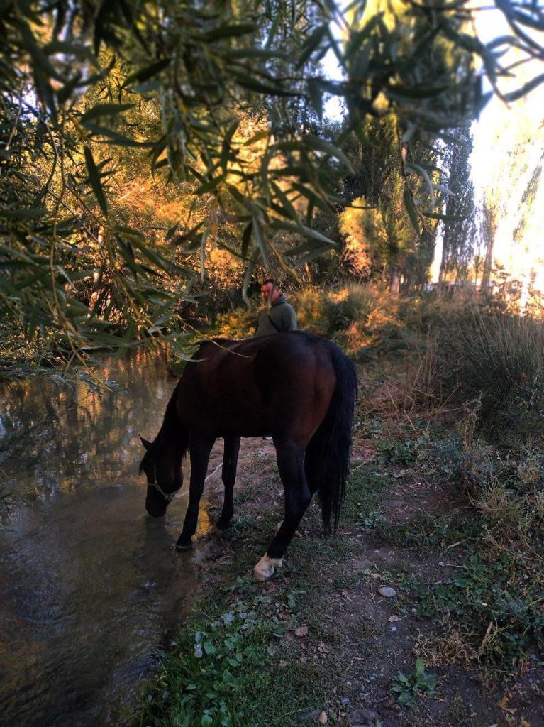QUMUSH GUEST HOUST photo 4