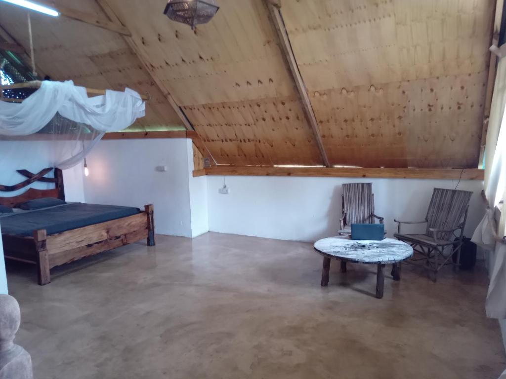 Pongwe Eco Lodge and kitten paradise. photo 1