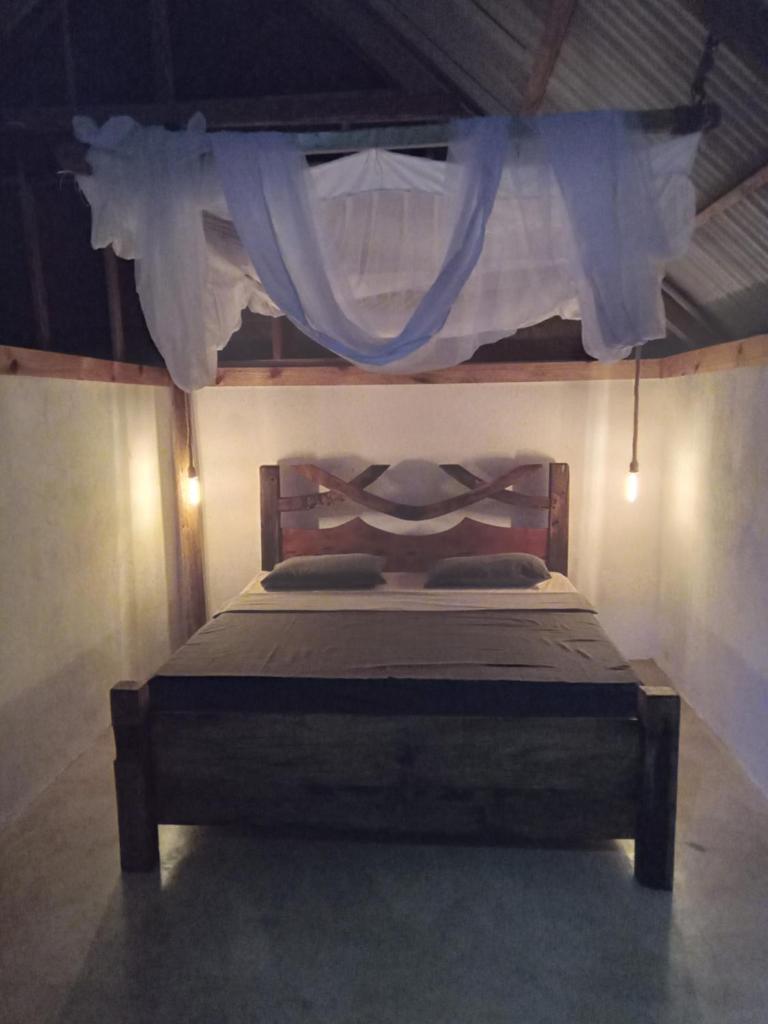 Pongwe Eco Lodge and kitten paradise. photo 3