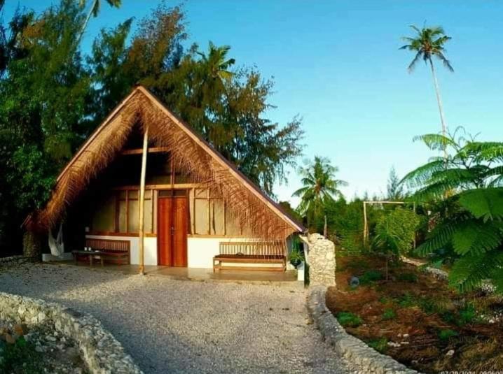 Pongwe Eco Lodge and kitten paradise.