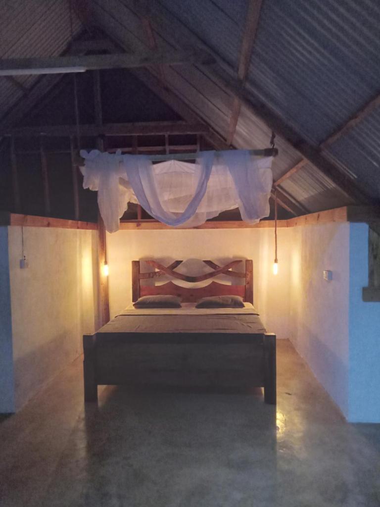Pongwe Eco Lodge and kitten paradise. photo 4