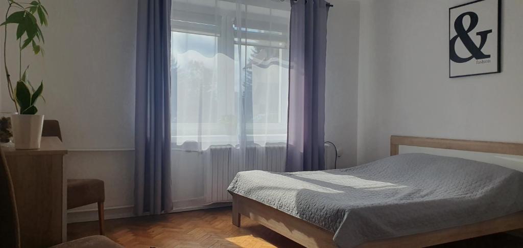 Mieszkanie w domu jednorodzinnym photo 3
