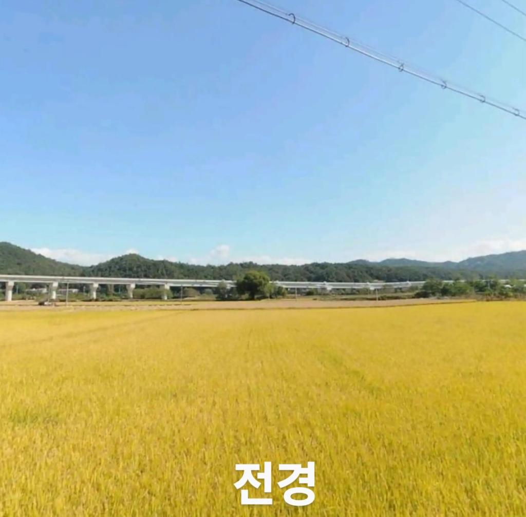 Seoneulgimunhwa photo 4