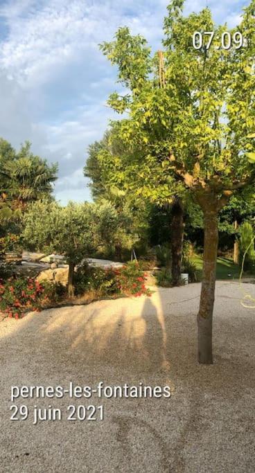 La campagne en provence avec piscine photo 1