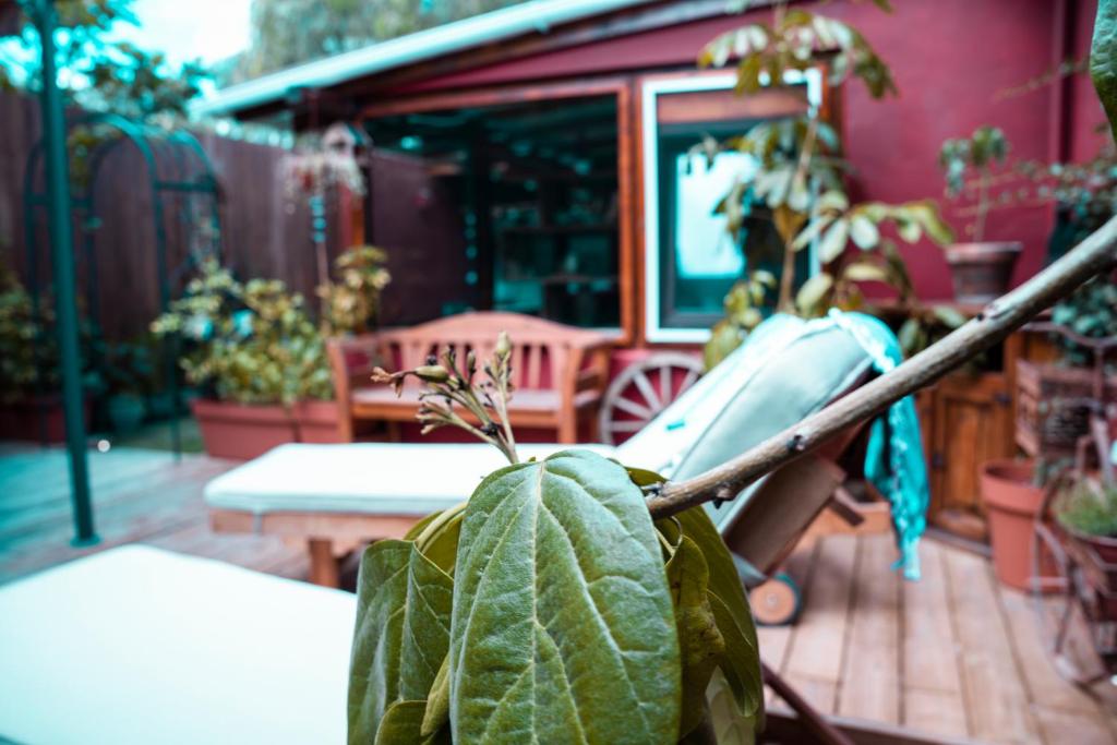 Red House photo 3