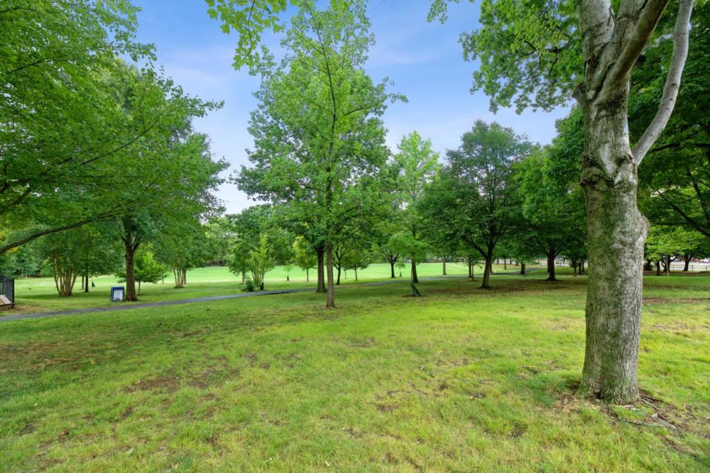 Crystal City Boutique Flats 2BR - Free Parking 204 photo 3