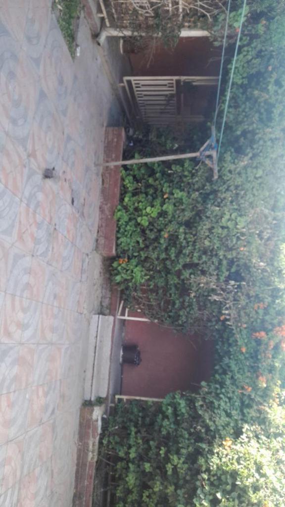 Moji pension photo 3
