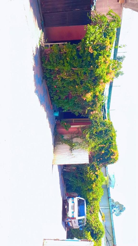 Moji pension photo 2