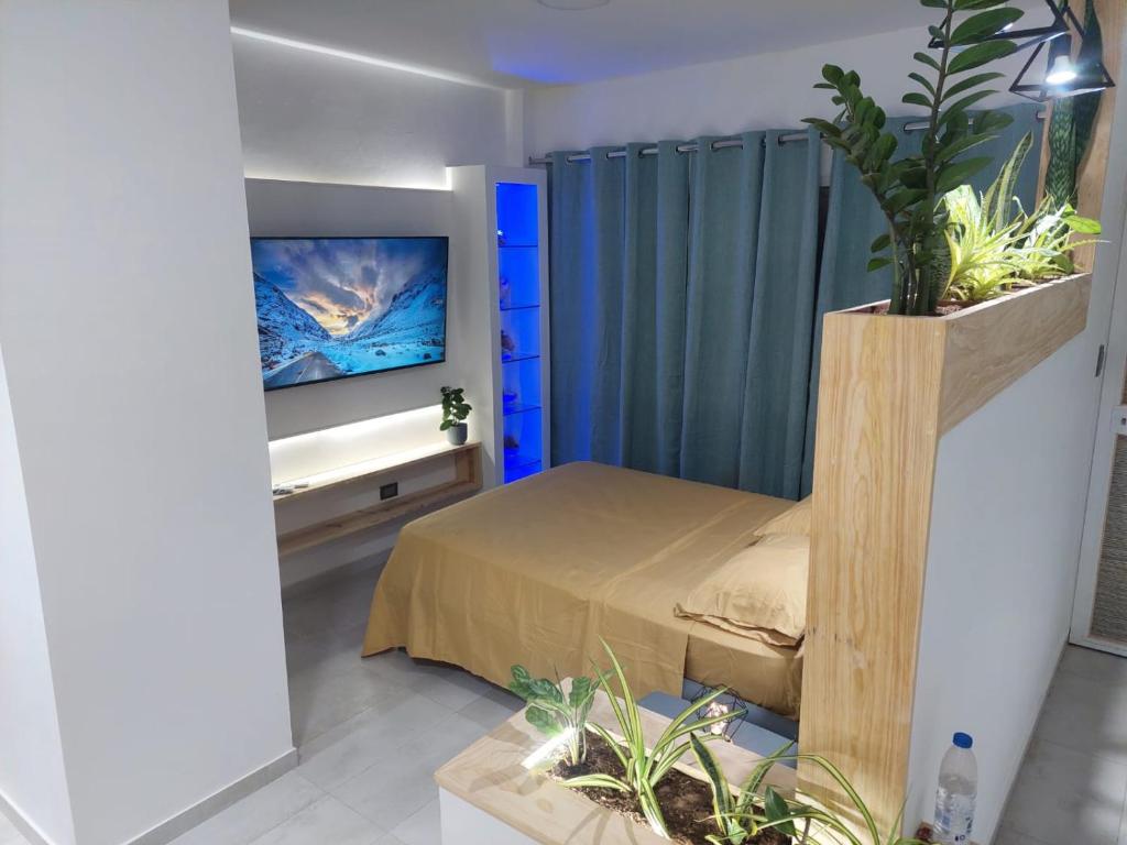 Yaque Suite photo 3