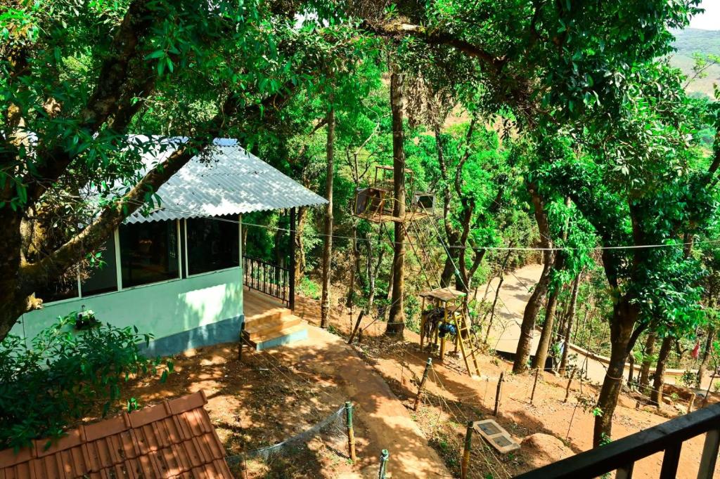 Jungle Adventure Homestay photo 4