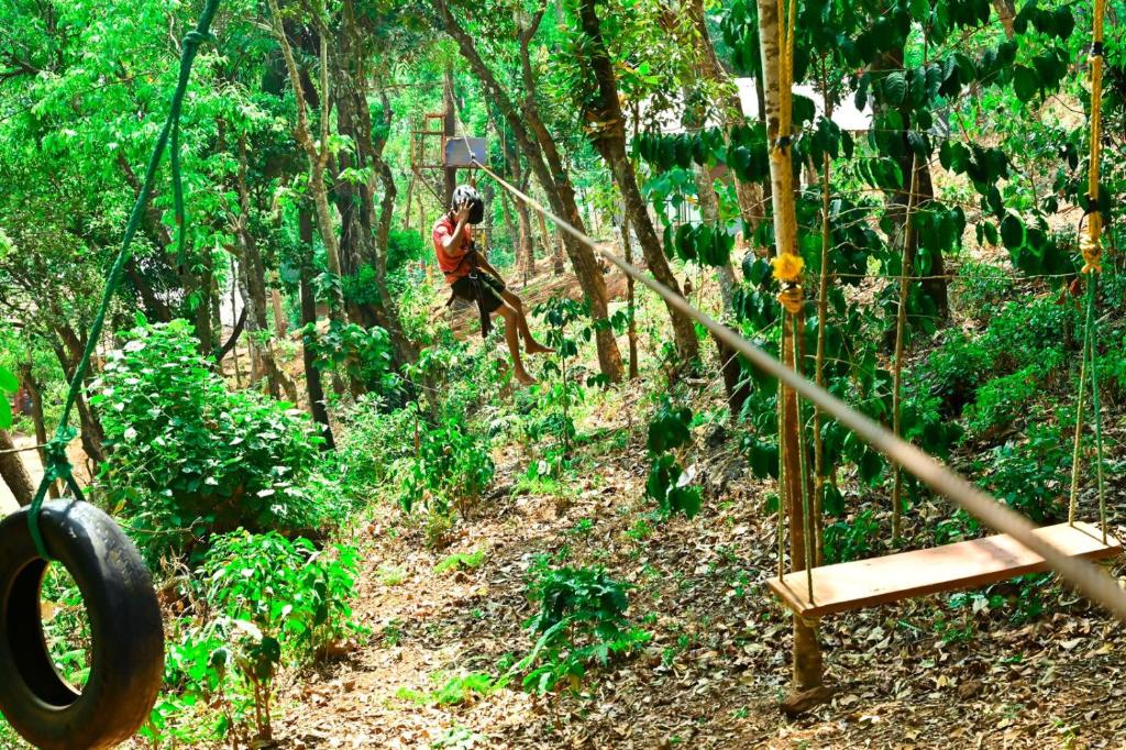 Jungle Adventure Homestay