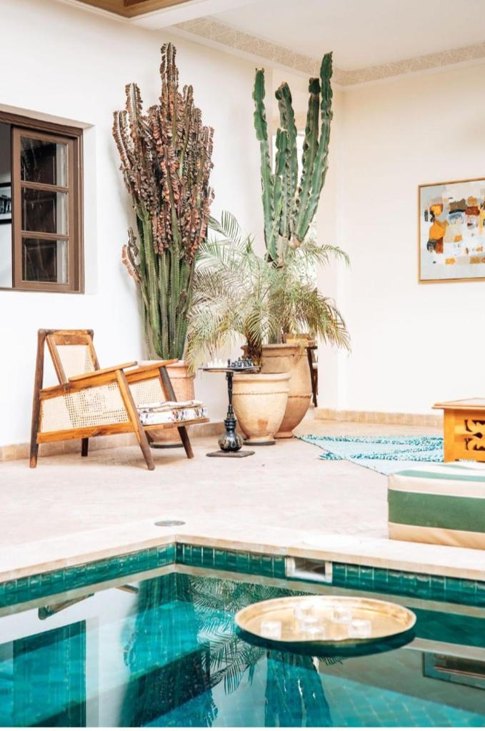 Riad Deha & Spa photo 4