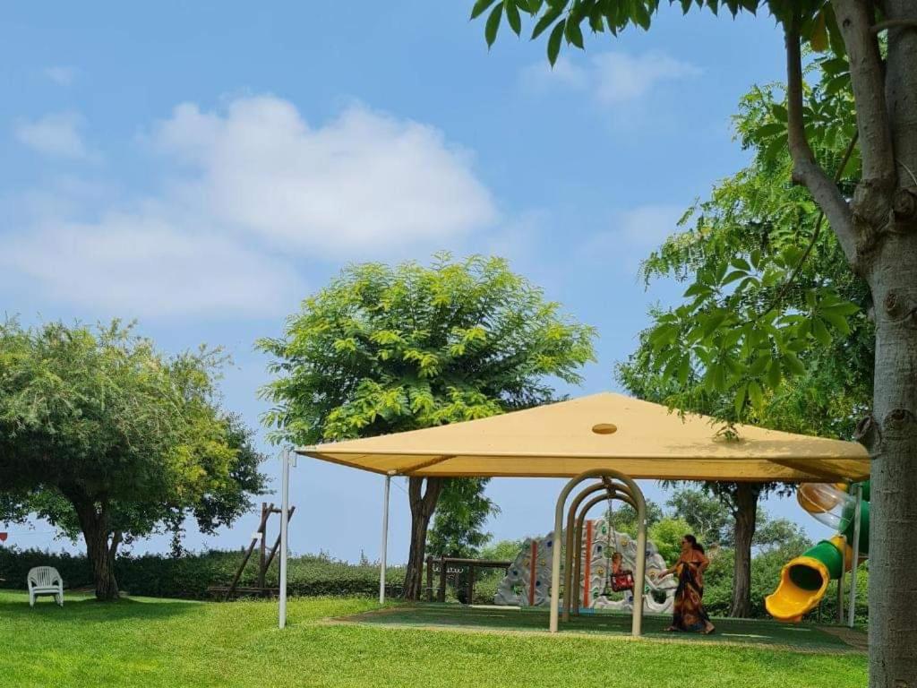 מול הים בקיסריה photo 3