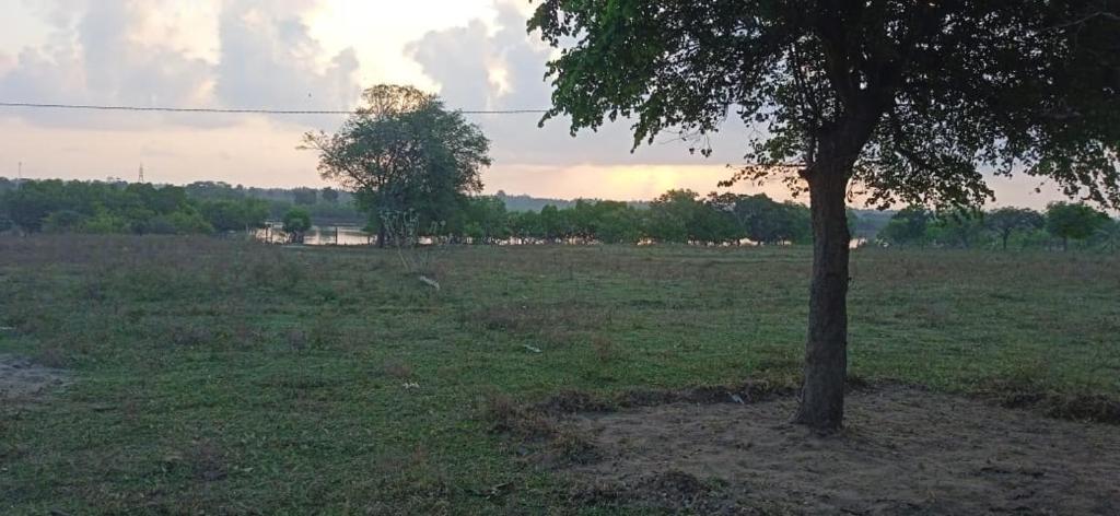 Nilaveli Irakkandy Lagoon Tent Campground photo 1
