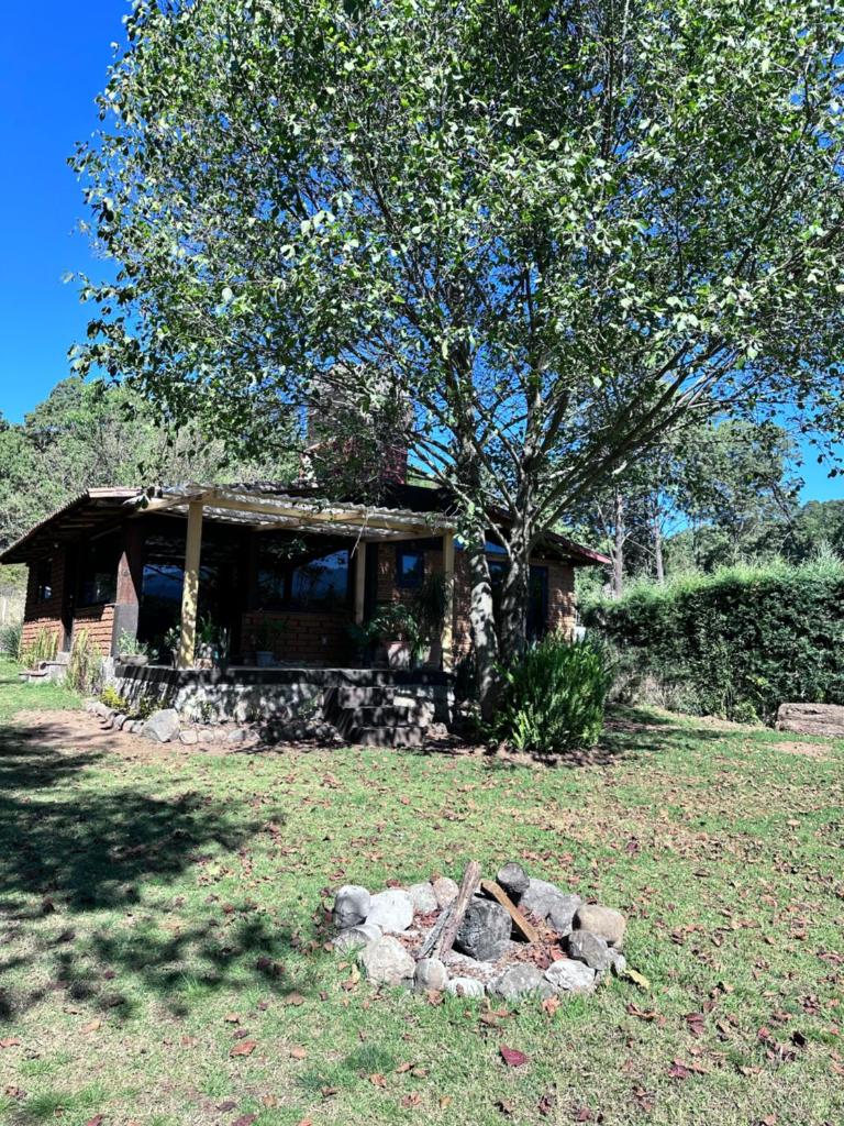 Cabañita en el Bosque photo 4