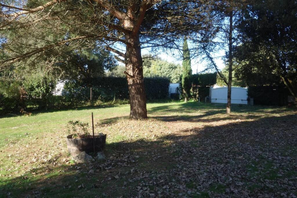 Ocean, forest, surf and garden at Vert-Bois