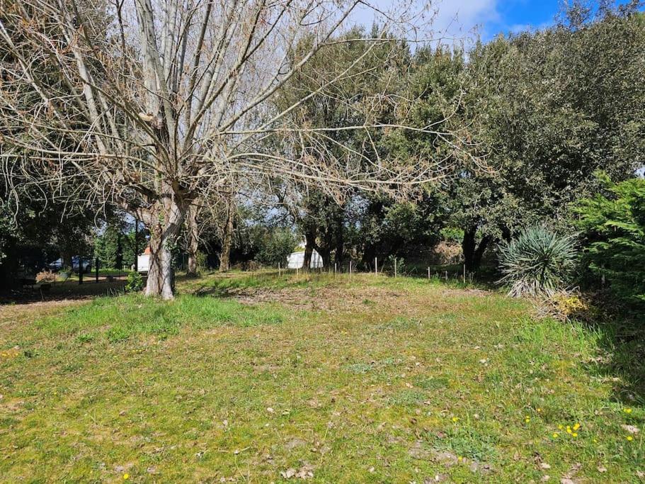 Ocean, forest, surf and garden at Vert-Bois photo 3