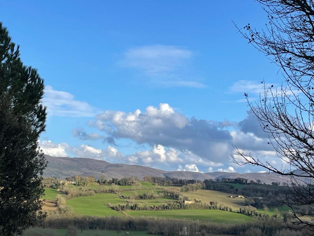 La Casa di Gelsomino photo 2